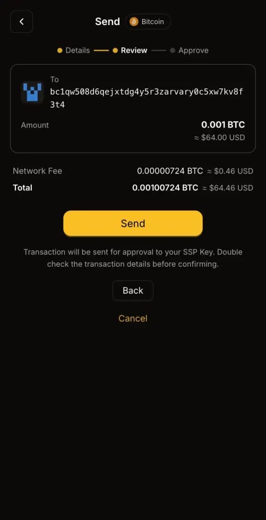The Send review step showing the full recipient address in dark mode