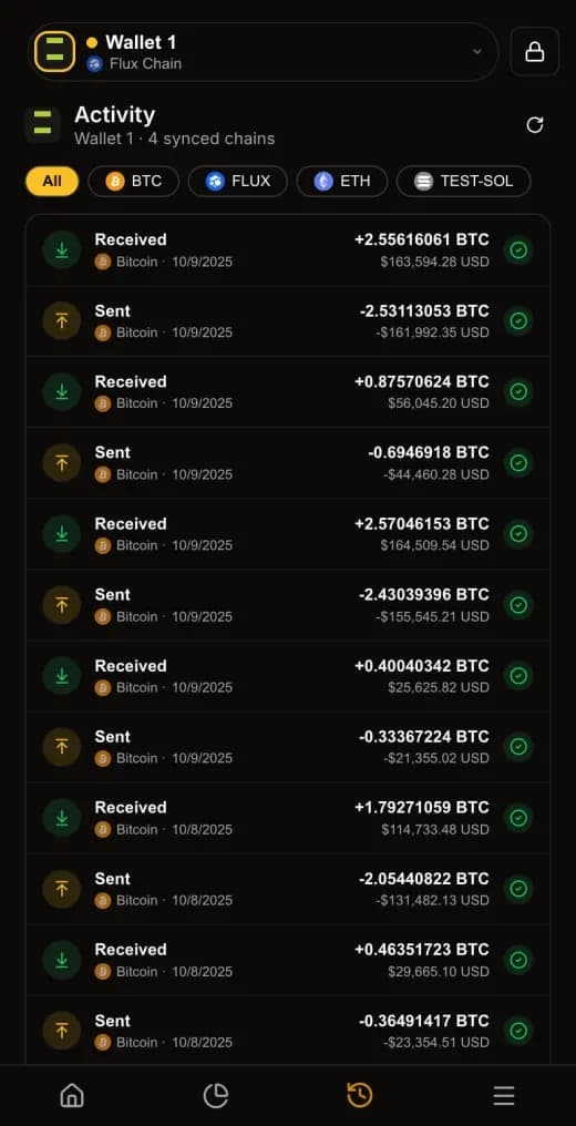 The activity view in SSP Wallet, dark mode